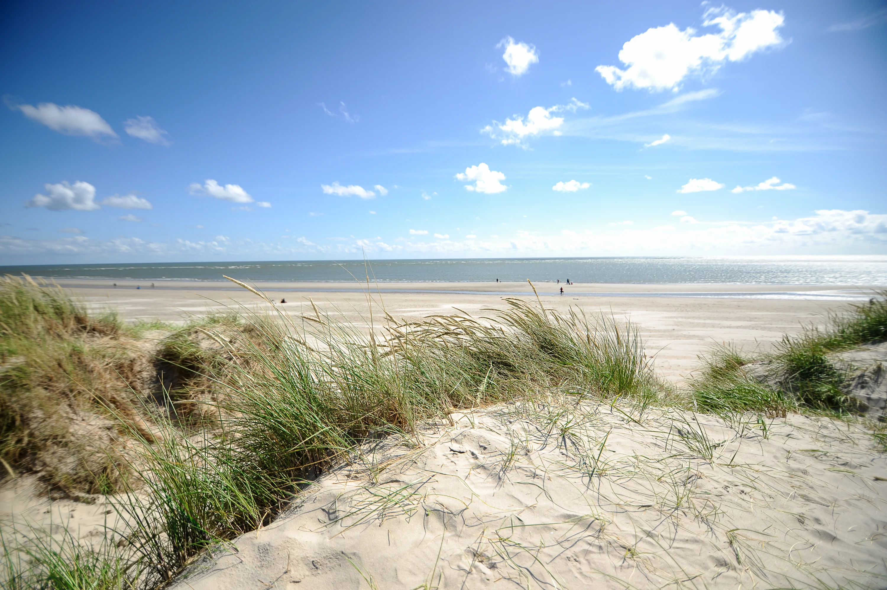 Vestkysten kalder: sommerhus med udsigt til havet