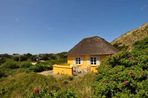 Udlejning af privat sommerhus Henne Strand_320-770